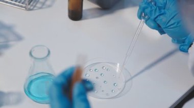 Mavi eldivenli bilim adamı laboratuarda bir tüp sıvı tutuyor.