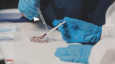 Laboratuvarda bir bilim adamı. Bilim, tıp, kimya, araştırma kavramı