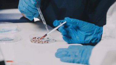 Laboratuvarda mikroskopla çalışan bilim adamı.