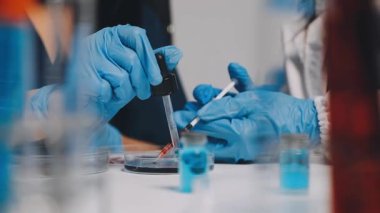 Laboratuvarda test tüpleri tutan koruyucu eldivenli bilim adamlarının yakınına.