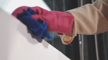 Ofisin camlarını temizleyen eldivenli kadın.