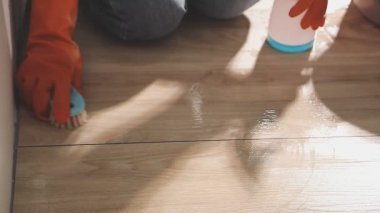 Bir kadının temizliği