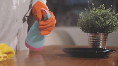 Odadaki masayı temizleyen kadın.