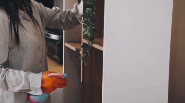 genç kadın evde bez ile pencere Temizleme