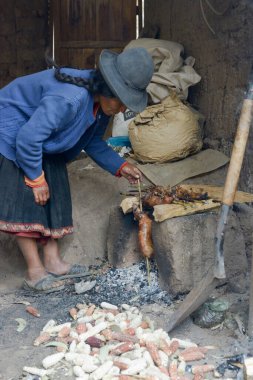 Yerli Perulu kadın eskiden şiling şimdi pigs ateşte hazırlanıyor. Eskiden şiling şimdi pigs Peru, düğün ve dini törenleri için hazırlanan özel yemek vardır. 22 Ekim 2012