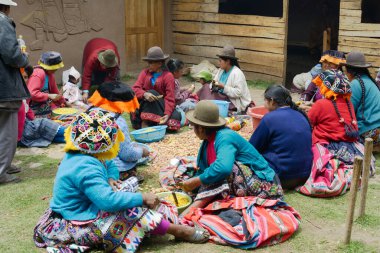 Yerel kadınlar yerel düğün töreni için patates kesiyor, Paru Paru, La Parque de la Papa, And Dağları, Peru 'daki en yüksek irtifa topluluğu.