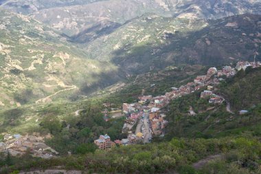 Kokain tarlalarıyla çevrili Chulumani kasabası, Sud Yungas, Bolivya