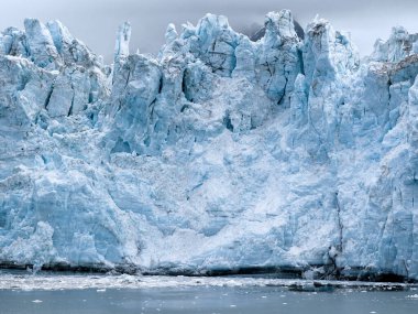 Margerie buzul Glacier Bay Milli Parkı, Alaska, görünümünü