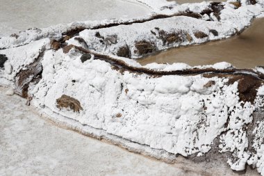 A close-up view of the salt ponds at Maras, Peru, showcasing the intricate formations of salt deposits along the edges of the basins. The image highlights the traditional salt-harvesting methods and the unique texture of the landscape. clipart