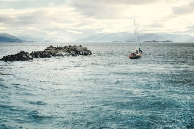  Sailing boat passing by Sea Lion colony, Ushuaia, Tierra Del Fuego, Patagonia, Argentina, South America clipart