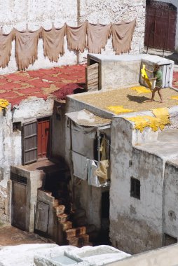 Tabakhane Fes el Bali çatı üst kurutma Tanner gizler. 28 Mart 2008 - Fes, Morocco