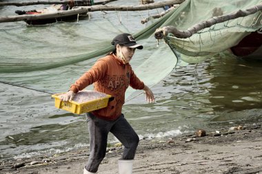 Vietnamlı bir kadın plastik sepetinde karides yakalıyor. 26 Aralık 2013 - Da Nang, Vietnam