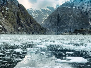 Doğal kıyı manzara dik buzul cilalı kayalıklarla ve Tracy kol Fjord, Alaska, yüzen buz ile
