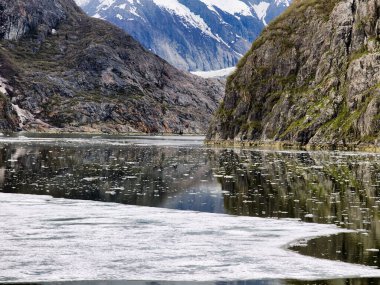 Doğal kıyı manzara dik buzul cilalı kayalıklarla ve Tracy kol Fjord, Alaska, yüzen buz ile