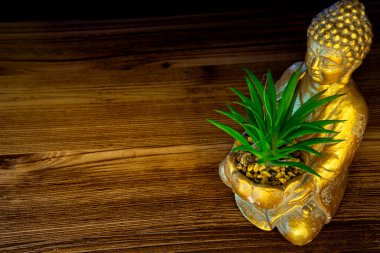 Tahta zemin üzerinde sulu bir bitki olan Buda heykeli.