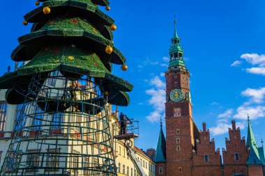 Wrocaw, Polonya - 16.11.2023: Noel ağacını hazırlamak ve Wroclaw ana meydanında geleneksel Noel panayırına (jarmark) hazırlanmak