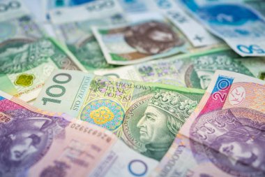 Polonya zloti banknot fon para birimi