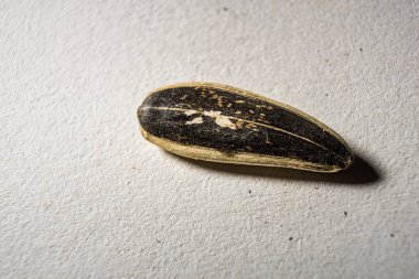 Beyaz arkaplan dokusunda izole edilmiş tek bir ayçiçeği tohumu detayı üzerinde makro yakın çekim