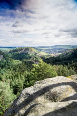 Yükselmiş Bakış Alanından Bir Ormanın Panoramik Görünümü