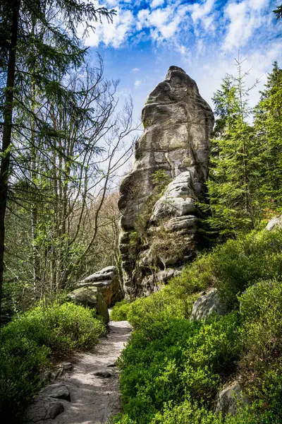 Path Leading to Large Rock in Adrpach Teplice Forest