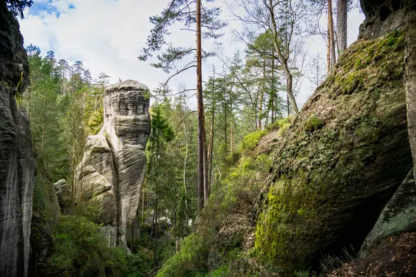 stock image Massive Rock Formation Amidst Forest in Adrpach Teplice, Czech Republic