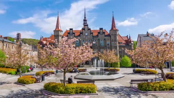 Walbrzych Poland April 2024 Municipal City Town Office Walbrzych Poland — Stockvideo