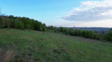 İnsansız hava aracı görüntüsü Walbrzych 'in Avrupa kentini gün ışığına çıkarıyor. Sabahın erken saatlerinde tepelerin arasında.