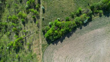 Hava perspektifi çeşitli ağaçlarla süslenmiş geniş bir alanı gösteriyor.