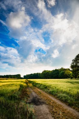 Çamur Yolu Arazi Kesme