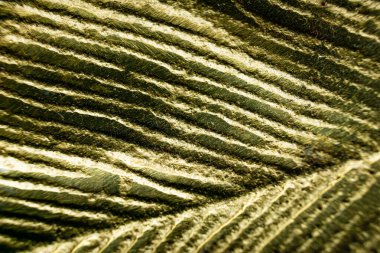 İşlenmiş metal plaka yaprak deseni arkaplan soyut