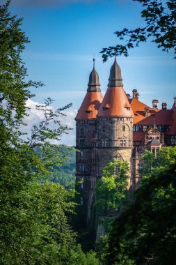 Wabrzych, Polonya - 6 Haziran 2024: Ksiaz Kalesi 'nin ayrıntıları yemyeşil bir ormana yerleştirildi. Ksiaz Kalesi Walbrzych, Polonya 'da bir kaledir..