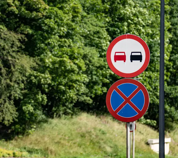 stock image No Parking or Overtaking Allowed Road Sign in Front of Green Trees