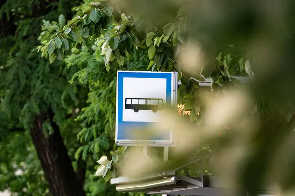 stock image Bus Stop Sign Partially Obstructed by Green Foliage