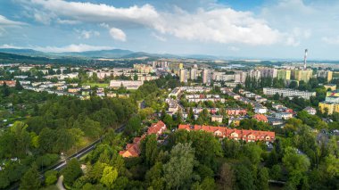 Yazın Yeşil Alanlar ve Yerleşim Alanlarıyla Dolu Bir Şehir Manzarası Görünümü