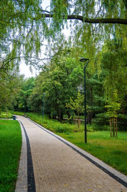 Lush Green Park 'ta Bulutlu Öğleden Sonra' da Serene Tree Led Yolu