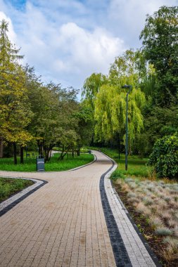 Manzaralı Park Yolu Sonbaharda Bulutlu Gökyüzü Altında Yeşiller Altında