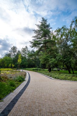 Çamurlu Gökyüzü Altındaki Uzun Ağaçlarla çevrili Yemyeşil Parkı Saran Yol