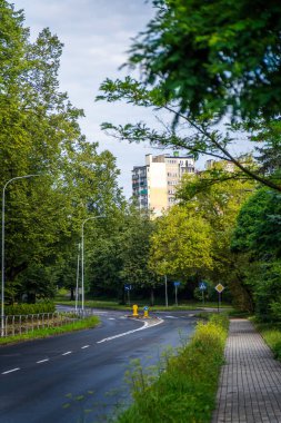 Eğri Şehir Yolu Lush Yeşillik ve Uzun Binalarla çevrili Öğleden Sonra