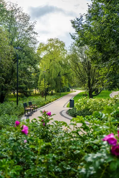 Şehir parkındaki yemyeşil ve renkli çiçeklerle çevrili huzurlu bir yürüyüş yolu.