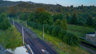 Sabahın erken saatlerinde kırsal bir ortamda yemyeşil bir alanda dönen demiryolu rayları.