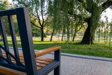 Sabahın erken saatlerinde, yeşilliğe bakan bir bankta