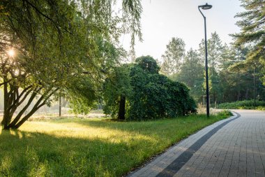 Sabahın erken saatlerinde halk parkındaki ağaçların arasından süzülür, dolambaçlı bir yolu aydınlatır.