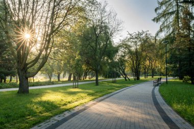 Sabahın erken saatlerinde ağaçların arasından süzülür. Halka açık bir parkta, dolambaçlı bir yolda.