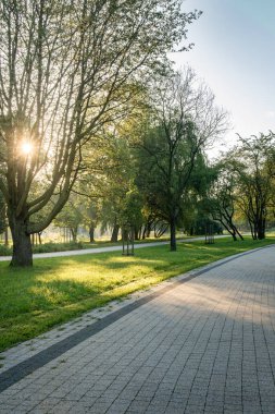 Sabahın erken saatlerinde ağaçların arasından süzülür sakin bir park yolunda
