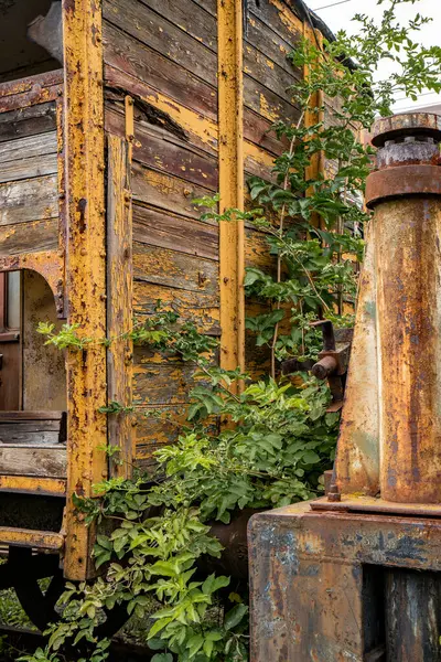 stock image Rusty details of an old steam train with overgrown vegetation at an abandoned railway site