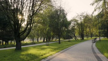 Sabah ışığı ağaçların arasından süzülür sakin bir parkta yemyeşil otlar ve huzurlu bir patika ile.