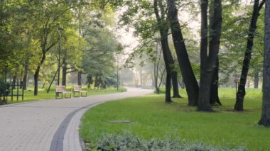 Sabah ışığı ağaçların arasından süzülür sakin bir parkta yemyeşil otlar ve huzurlu bir patika ile.