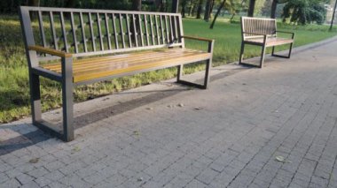 Parkta dinlendirici bir sabah canlı yeşillik ve bankın yakınındaki huzurlu manzarayla