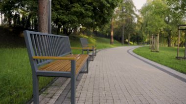 Parkta dinlendirici bir sabah canlı yeşillik ve bankın yakınındaki huzurlu manzarayla