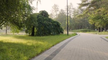 Sabah ışığı ağaçların arasından süzülür sakin bir parkta yemyeşil otlar ve huzurlu bir patika ile.